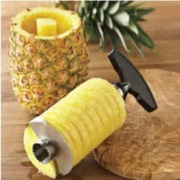 Pineapple Slicer Peeler Cutter Parer Knife Stainless Steel Kitchen