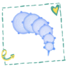 lids.png